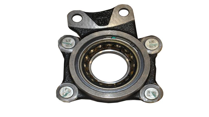 ARKA JANT GÖBEĞİ (D2)